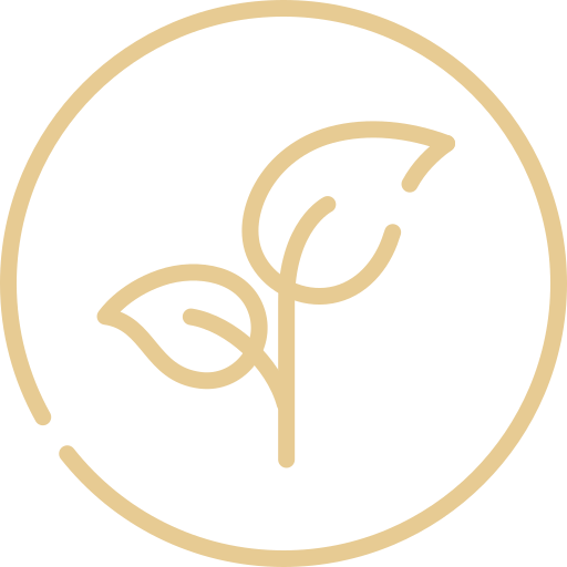 Diete vegetariane e vegane