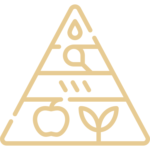 Rieducazione alimentare